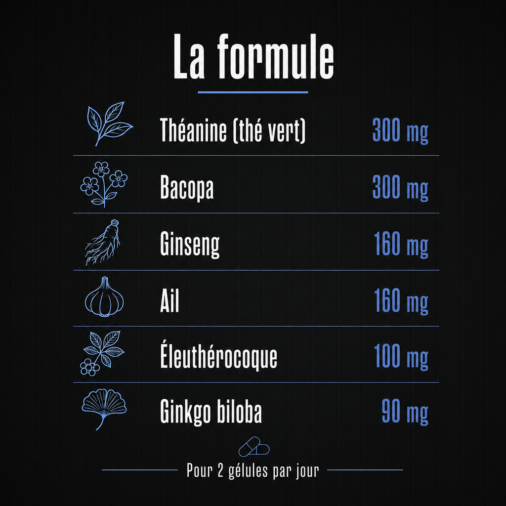 FOCUS - Mémoire et Concentration