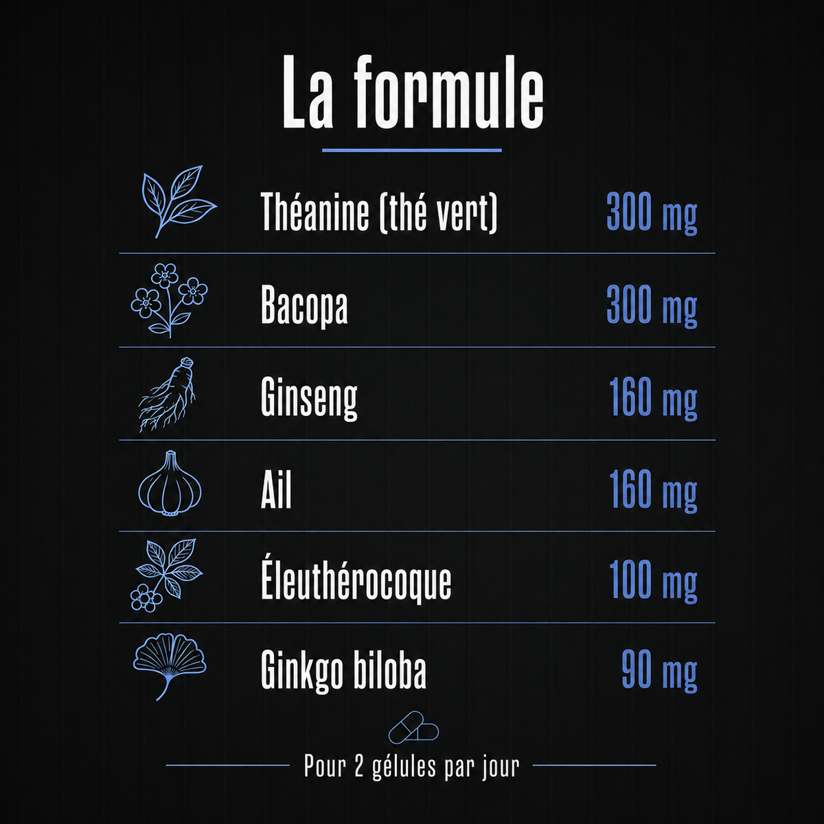 FOCUS - Mémoire et Concentration