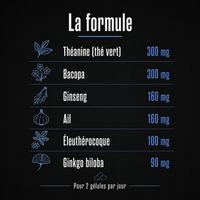 FOCUS - Mémoire et Concentration