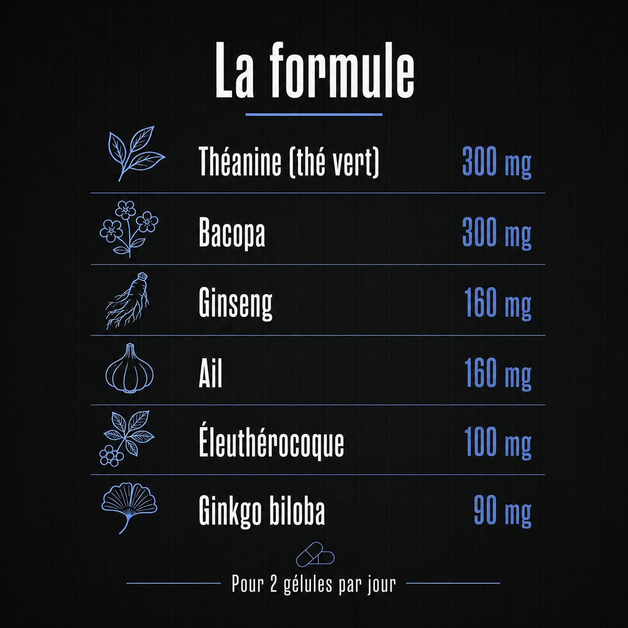 FOCUS - Mémoire et Concentration